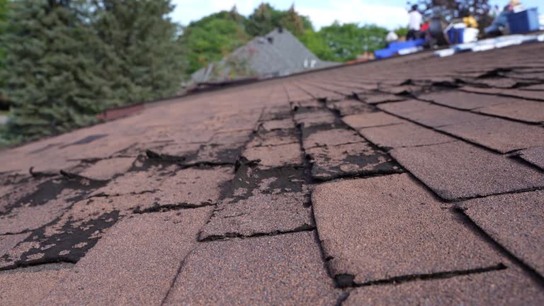 Best Roof Installation  in West Liberty, WV