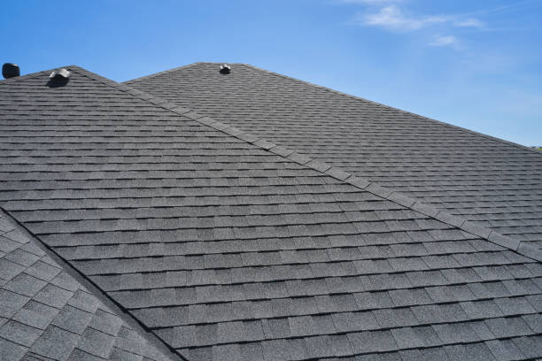Best Roof Leak Repair  in West Liberty, WV